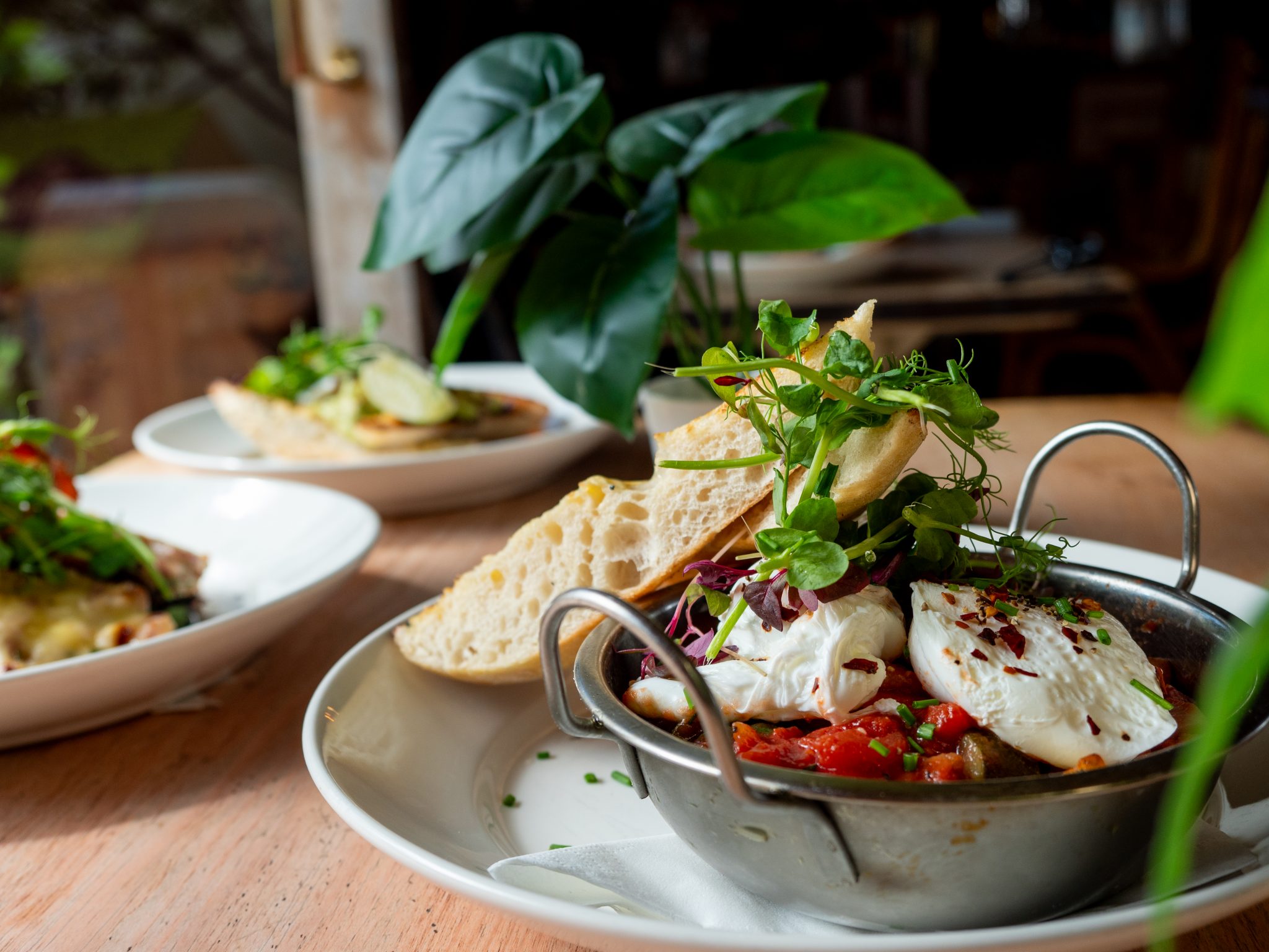 Reservations Grounded Cafe Bars